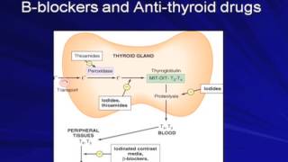 Dr. Gianoukakis -  Anti-Thyroid Drugs for Hyperthyroidism / How I Treat Hypothyroidism