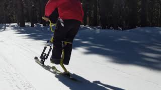 Timberline - Skibike Follow Run