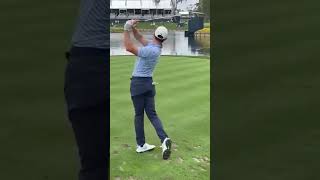 Rory Mcilroy vs Fan in 2020 at The Players! #shorts #pga #golf #goodgood #sports #rorymcilroy