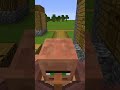 minecraft poor villager gets revenge 😎💀 shorts minecraft