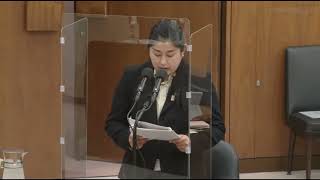 ＃堀場さち子　#日本維新の会　20230411　衆議院　地域・こども・デジタル特別委員会