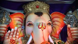 Different Ganesh Idol - Blinking Eyes and Moving Ears Ganesh Idol Video
