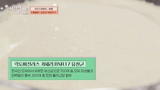 근육은 지키고! 지방 빼는 비결 → 다이어트 유산균 BNR17 | 지킬박사와 가이드 12회 | JTBC 220828 방송