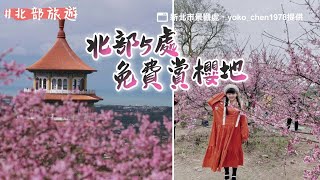 200株粉紅海爆開「2／12前還有夜櫻」！北部5處免費賞櫻地｜ETtoday旅遊雲