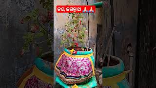 ମାଆ ବୃନ୍ଦାବତି ଙ୍କ ପାଖରେ ଏହି ସବୁ କାମ କରନ୍ତୁ ନାହିଁ #odia #odiagyana #ଜୟ