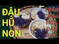 ĐẬU HŨ NON ( TÀO PHỚ) KHÔNG DÙNG THẠCH CAO, ĐƯỜNG NHO, ĐƠN GIẢI DỄ LÀM