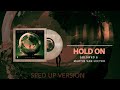 Golowko & Martin Van Lectro - Hold On (Sped up Version)