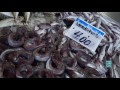 algarve olhão fish and fruits market hd