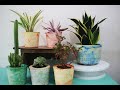 DIY PLASTER OF PARIS POTS I COLORING MATERIAL I UPDATE OF MY POTS AFTER 6 MONTHS #plasterpots