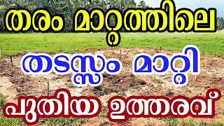 തരം മാറ്റത്തിലെ തടസ്സം മാറ്റിയ ഉത്തരവ്