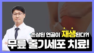 손상된 무릎연골이 재생된다고?