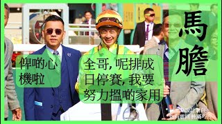 #賽馬貼士【中文字幕】上次兩隻馬膽 連贏成功過關! Nek Chang 馬膽 R2 上仗出色 R3 試閘見靚 #香港賽馬 #賽馬分析