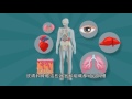 器官捐贈懶人包 simple introduction to organ donation