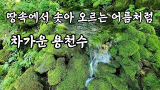 무더위를 확 날려주는 땅속에서 솟아 오르는 어름처럼 차가운 용천수