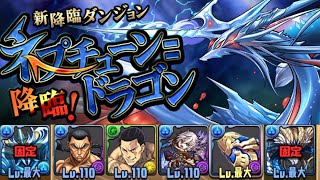 【パズドラ】ネプチューンドラゴン降臨 壊滅級 ソロ（東堂リダチェン編成）