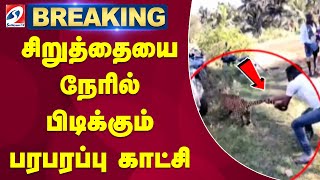 சிறுத்தையை நேரில் பிடிக்கும் பரபரப்பு காட்சி