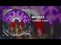 skyxxx money tree official audio