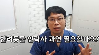 반려동물 안락사 과연 필요할까요?