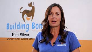 Building Bonds Dog Training