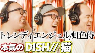 トレンディエンジェルと本気で『猫/DISH//』を歌ってみた【虹色侍】