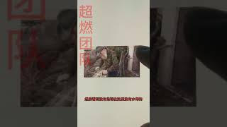 16.【手机影视剪辑教程3】  下载无水印短视频+转码MD5教程