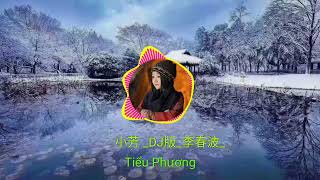 小芳 _DJ版_  ( Tiểu Phương )#李春波#抖音最好听的歌曲