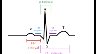 EKG/ECG Interpretation (Basic) : Easy and Simple!