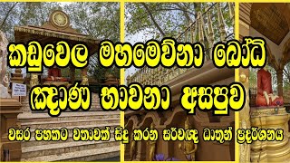 කඩුවෙල මහමෙව්නා බෝධි ඤාණ භාවනා අසපුවේ වසර පහකට වතාවක් සිදු කරන සර්වඥ ධාතූන් ප්‍රදර්ශනය