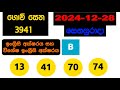 govisetha 3941 2024.12.28 today lottery result අද ගොවි සෙත ලොතරැයි ප්‍රතිඵල nlb