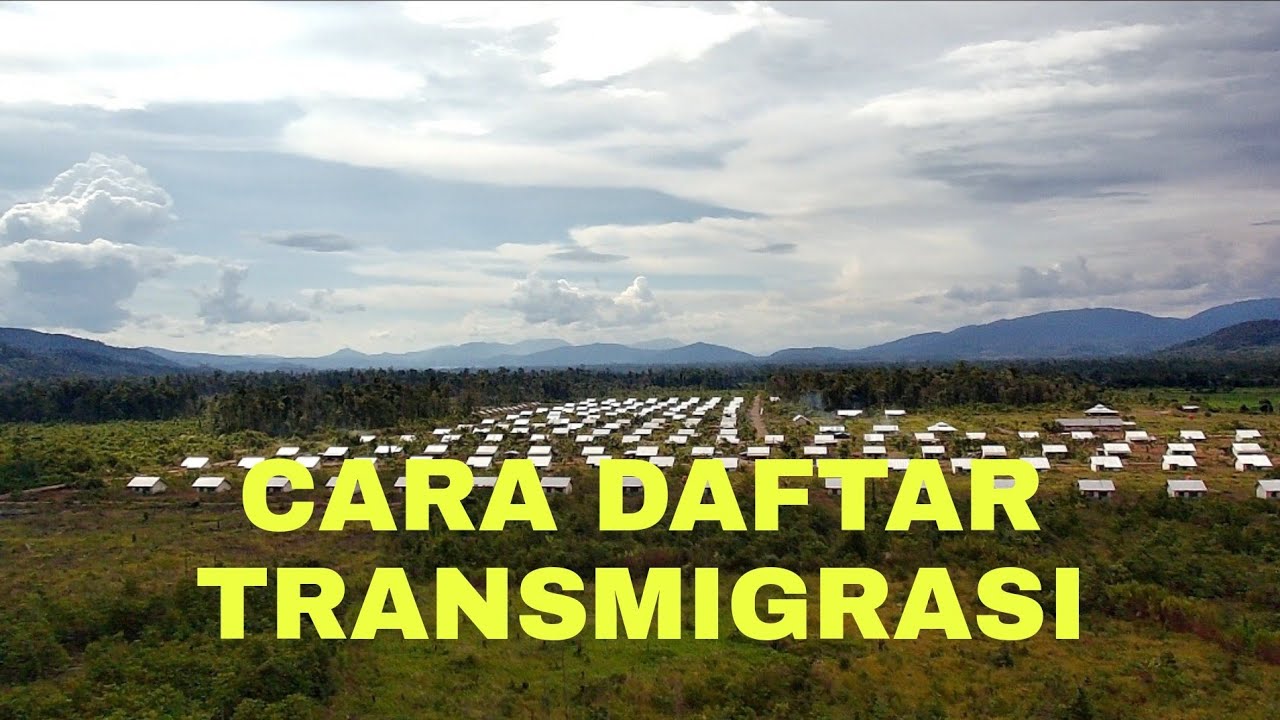 CARA DAFTAR TRANSMIGRASI #transmigrasi - YouTube