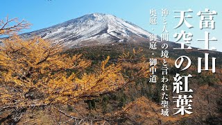 【富士山】雪化粧した紅葉の富士｜天地の境 奥庭・御庭・御中道を歩く|Mt.Fuji Autumn Leaves and Snow Scene