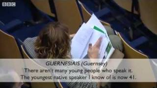 Are dying languages worth saving?