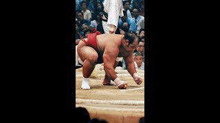 平成12年東十両十一枚目春場所 戦闘竜13勝2敗優勝決定戦