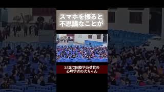 ビックリ動画　#おもしろ動画 #不思議 #面白い #心理学