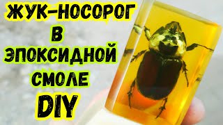 Жук - Носорог в Эпоксидной Смоле ● Настольный Сувенир DIY ● Насекомые в смоле