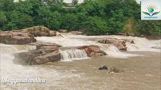 Waterfall: ಮೈಸೂರಿನ ಏಕೈಕ ಜಲಪಾತ ಧನುಷ್ಕೋಟಿ ಸೃಷ್ಟಿಯಾಗಿದ್ದು ಹೇಗೆ?