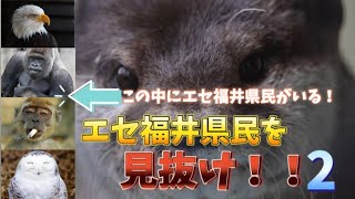 【ネタ動画】エセ福井県民を見抜け！2 質問一つでどんどんエセ福井県民を見抜くカワウソさん