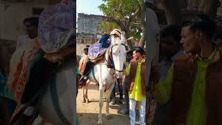 घोड़ी पर दूल्हा राजा||#dulha #dulhan #dance #viral #video #shorts