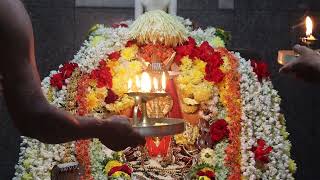 shree vadanabail padmavathi devi mahamangalarathi date 05-01-2025