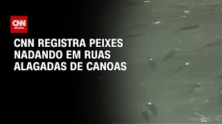 CNN registra peixes nadando em ruas alagadas de Canoas | CNN PRIME TIME