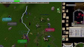 Ultima Online  Forest of the Dark in Mizuho