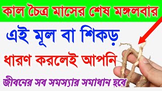 কাল চৈত্র মাসের শেষ মঙ্গলবার এই গাছের শিকড় বা মূল ধারণ করলেই ভাগ্য ফিরে যাবে। সমস্ত বাঁধা কেটে যাবে