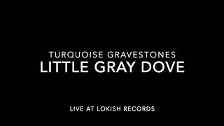 Turquoise Gravestones “Little Gray Dove”  Live at Lokish Records