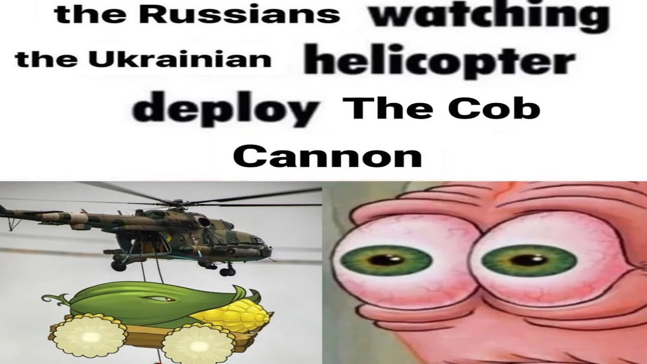 BASED MEMES OF COB CANNON