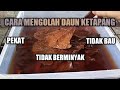 Cara Mengolah Daun Ketapang Agar Tidak Berminyak, Tidak Bau, dan Pekat untuk Ikan