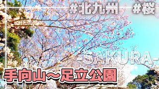 【桜2022】手向山～足立公園をドライブ🚘【開花情報】