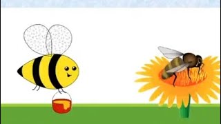 Honey bee drawing/easy honey bee drawing/how to draw cute honey bee step by step/ how to draw bee
