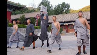 #Shorts Shaolin Kung Fu #Shorts#monk#bruce lee#jackie chan#yipman#mma#ufc#gym#workout#Muay Thai#wwe