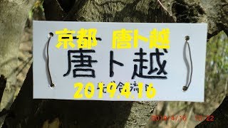 京都　唐ト越　上桂～桂坂　2019 4 16