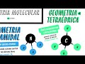 geometria molecular quer que desenhe mapa mental descomplica